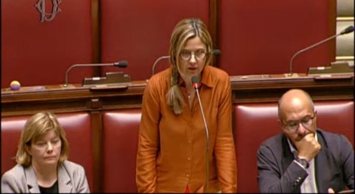 Attanasio e Iacovacci, Gadda: «Governo consenta svolgimento processo»