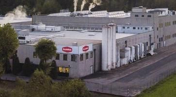 Invasione di scoiattoli in centro a Saronno