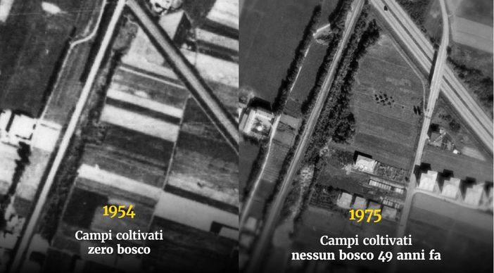 Gallarate, Cassani: «Proteste strumentali. Smascheriamo le fake news su via Curtatone» Gallarate, Cassani: «Proteste strumentali. Smascheriamo le fake news su via Curtatone»