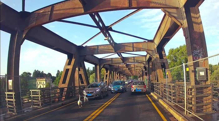 I due cigni a passeggio stamattina sul Ponte di Ferro di Sesto Calende (foto di Gianluca Civilla) I due cigni a passeggio stamattina sul Ponte di Ferro di Sesto Calende (foto di Gianluca Civilla)