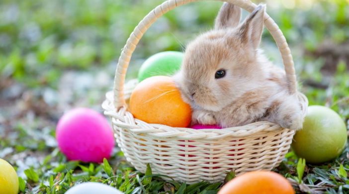 CHE FARE NEL WEEKEND - Buona Pasqua tra pranzi, escursioni e attività per tutta la famiglia CHE FARE NEL WEEKEND - Buona Pasqua tra pranzi, escursioni e attività per tutta la famiglia