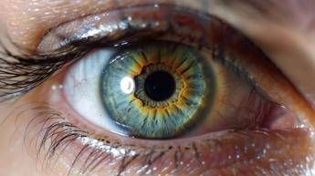 Farmaci, aflibercept 8 mg: nuovi dati confermano efficacia e sostenibilità in maculopatie