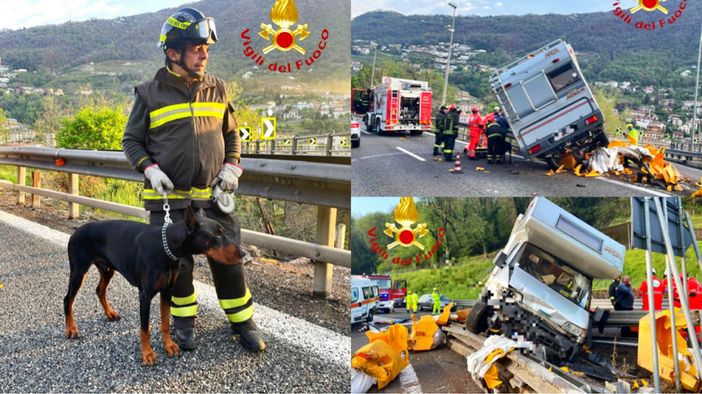 Camper finisce contro le barriere in A9: soccorsi l’autista e il suo cane