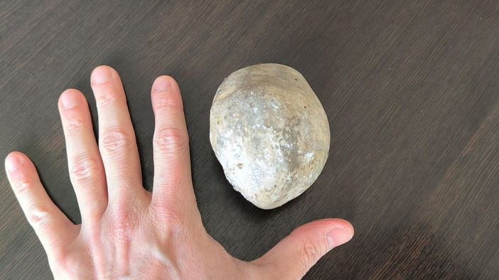 Il sasso lanciato dal giovane Il sasso lanciato dal giovane