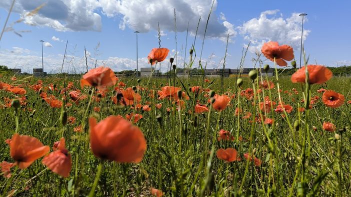 foto di Giovanni Ferrario foto di Giovanni Ferrario