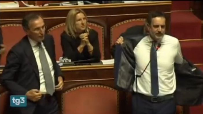Il senatore Alfieri si toglie la giacca in aula, guidando la protesta dell'opposizione (immagini Rai) Il senatore Alfieri si toglie la giacca in aula, guidando la protesta dell'opposizione (immagini Rai)