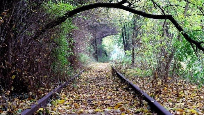 Viaggia la petizione per riattivare la ferrovia della Valmorea