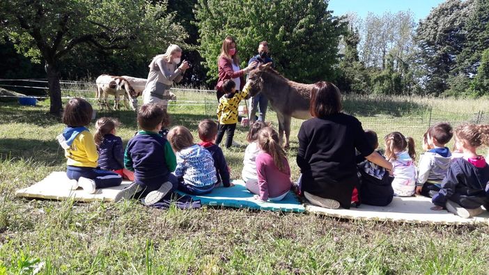 L'asinello Arno incontra i bambini (vedi anche foto in fondo all'articolo) L'asinello Arno incontra i bambini (vedi anche foto in fondo all'articolo)