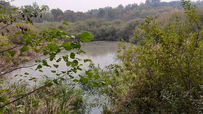L'area dei Fontanili così come si presenta quando la siccità non fa sentire i suoi effetti L'area dei Fontanili così come si presenta quando la siccità non fa sentire i suoi effetti