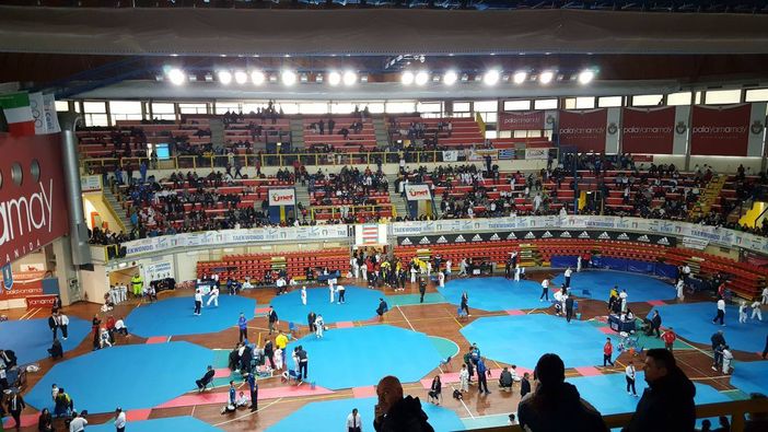 Taekwondo: al Palayamamay l'Insubria Cup