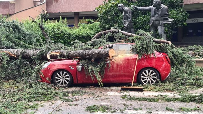 L'albero crollato su una macchina in corso Italia a Legnano, lunedì scorso L'albero crollato su una macchina in corso Italia a Legnano, lunedì scorso