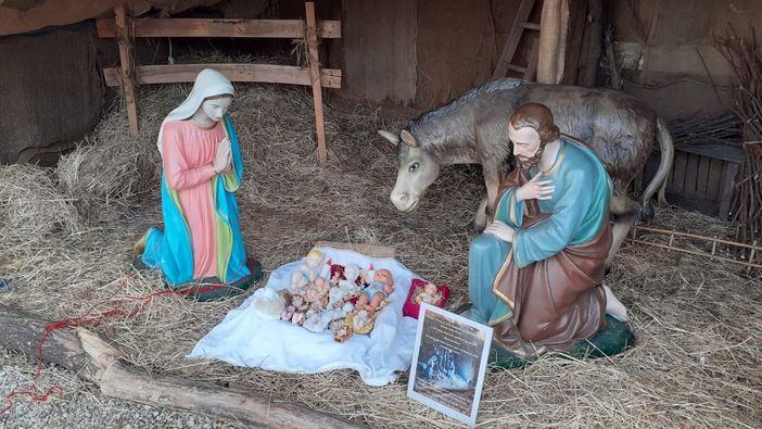 Busto, nuovo sfregio al presepe di Borsano. Rubato anche il bue