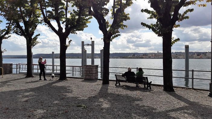 Domenica è la volta buona, AgriVarese pronta a sbarcare ad Angera Domenica è la volta buona, AgriVarese pronta a sbarcare ad Angera