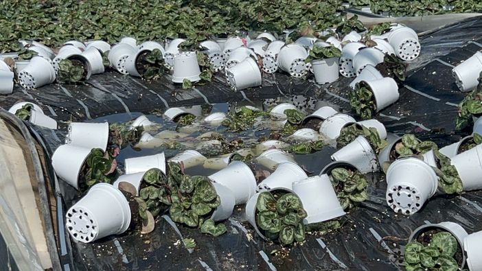 La triste &quot;conta&quot; del maltempo di Coldiretti: in Lombardia 27 nubifragi in un giorno