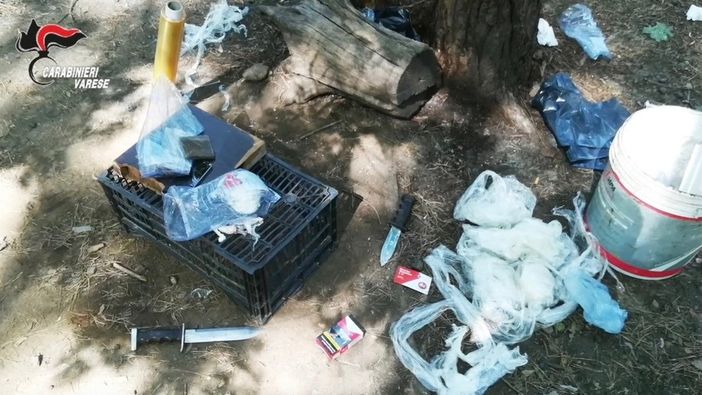 Trentamila euro per la sicurezza del Parco Pineta Trentamila euro per la sicurezza del Parco Pineta