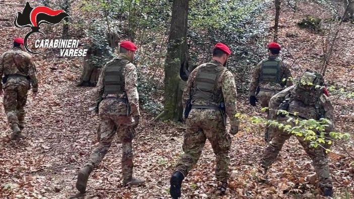 Spaccio nei boschi, nuovi blitz dei "Cacciatori" dei carabinieri: al setaccio Pianbosco e il Rugareto