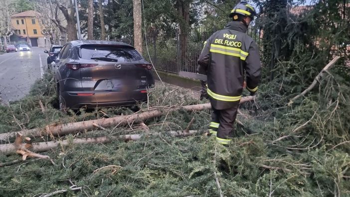 Vento forte e rischio idrogeologico: sul Varesotto resta l'allerta gialla fino a mezzanotte