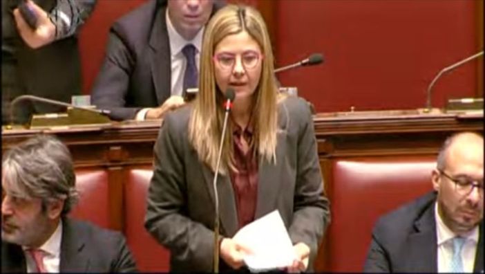 On. Maria Chiara Gadda On. Maria Chiara Gadda