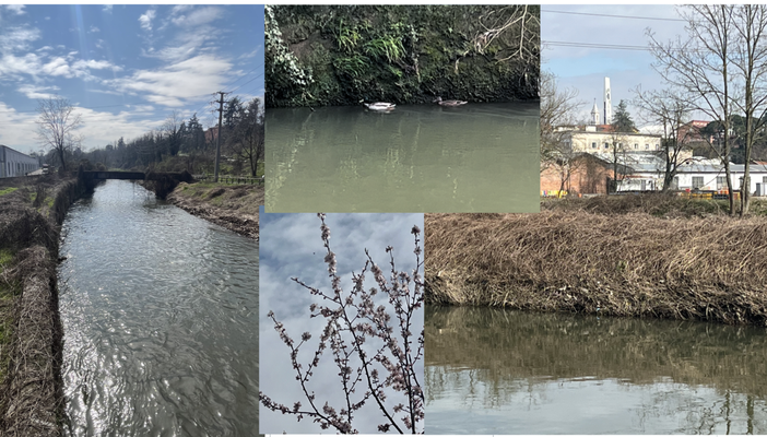 VIDEO.  L'Olona dopo la piena. Ovvero la pace che inizia a sussurrare la primavera