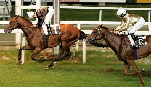 Signore e signori, sabato sera ecco a voi il 70° Gran Premio Città di Varese. Fascino e magia sono quelli di sempre