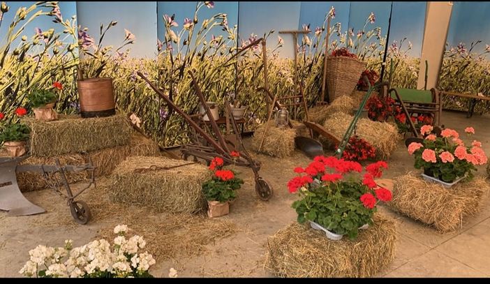 "Giugn e Lui, a tera l'à bui" - Giugno e Luglio, la terra bolle