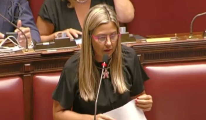 Mar Rosso, Gadda: «Governo faccia cabina regia con le imprese»
