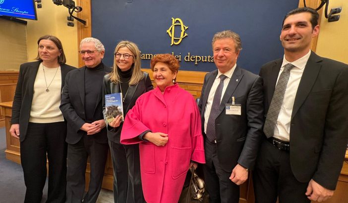 Gadda: «La distruzione degli ulivi in Puglia deve servire da monito per proteggere le colture italiane»