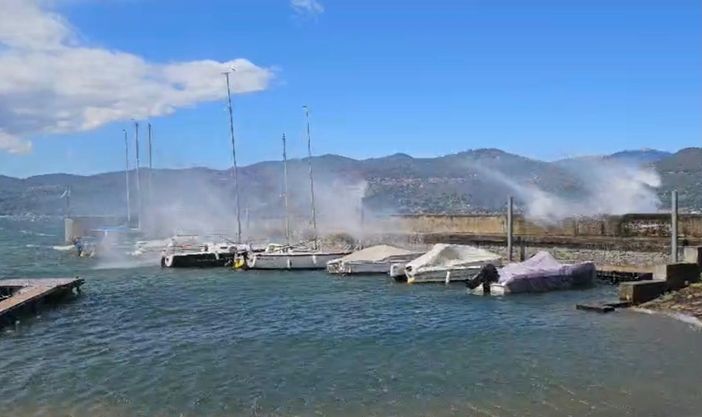 VIDEO e FOTO. Le folate di vento sferzano il lago Maggiore, albero sradicato ad Angera