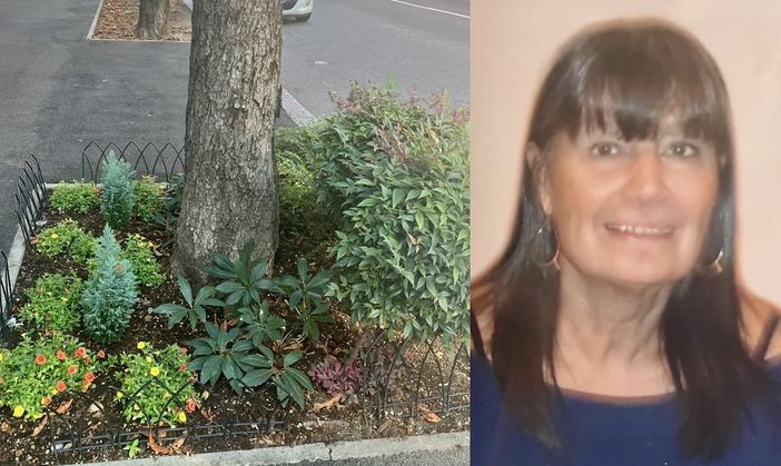 LA STORIA. Quell'aiuola speciale che ricorda Lauretta e invita a prendersi cura del proprio rione LA STORIA. Quell'aiuola speciale che ricorda Lauretta e invita a prendersi cura del proprio rione
