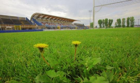 LE VOCI DEI TIFOSI. «Rivogliamo i nostri tigrotti, fuori la vostra grinta già nel derby»