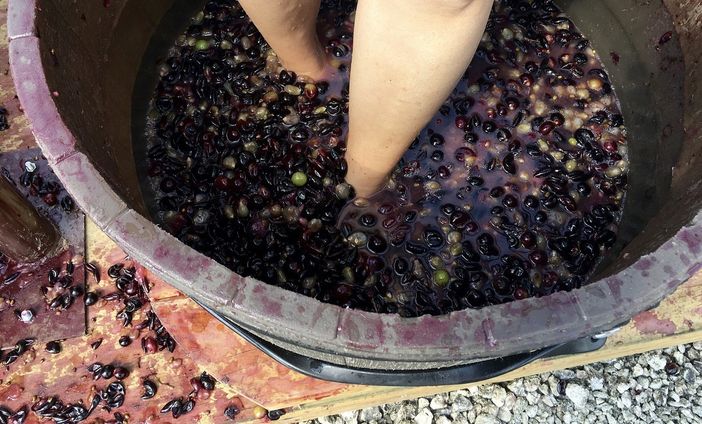 I vini di Busto che incantarono e sparirono. Come le osterie
