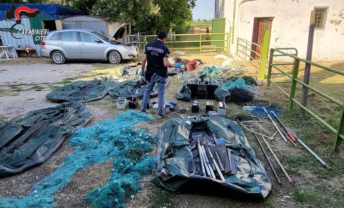 Razzia di pesci catturati con l’elettricità: blitz dei forestali anche in provincia di Varese. L'indagine è partita grazie alle segnalazioni dei pescatori