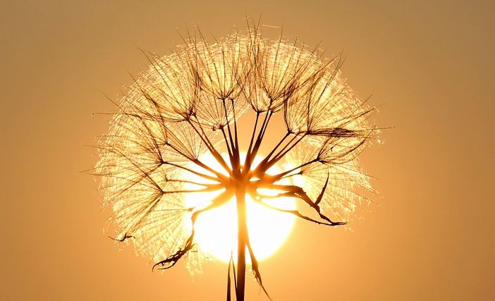 Notte a quasi 24 gradi, domani picco del caldo. Ma i temporali sono più vicini