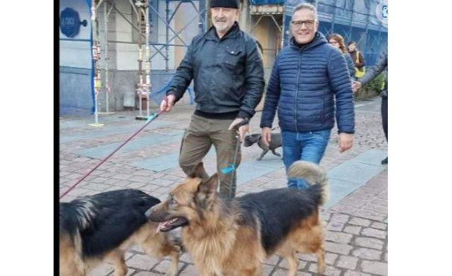 VIDEO. La camminata cresce e diventa un “Pomeriggio a sei zampe” in centro a Busto