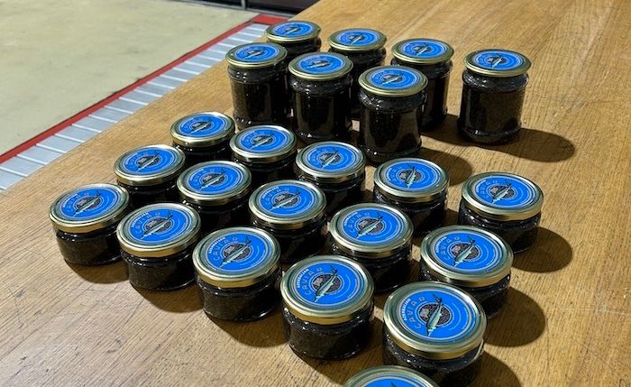 Contrabbando di alimentari in dogana tra Italia e Canton Ticino: fermati con alcolici, carne e caviale