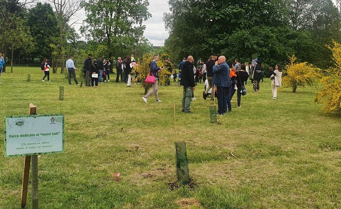 Alberi e casetta delle api: cresce il parco dei nuovi nati di Busto