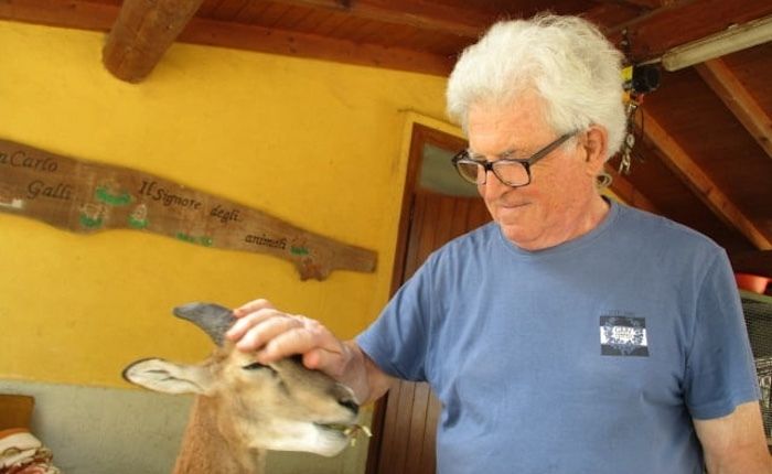 Giancarlo Galli Giancarlo Galli