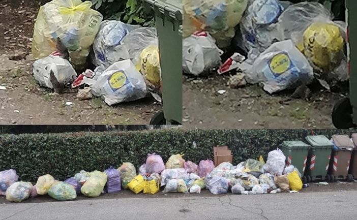 VIDEO. Rifiuti, i topi ballano in via Lamarmora