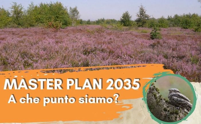 Il 7 marzo a Gallarate una serata per conoscere il Masterplan 2035 di Malpensa