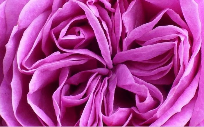 Domenica 28 luglio, visite senologiche gratuite nella Casa di Comunità di Varese