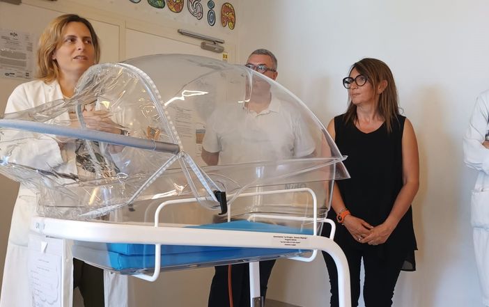 La consegna della termoculla