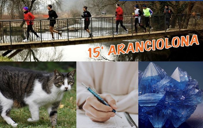 EVENTI DEL WEEKEND. Correte, ascoltate musica o aiutate i mici e l'ambiente: tutto questo potete fare e di più a Busto e in Valle EVENTI DEL WEEKEND. Correte, ascoltate musica o aiutate i mici e l'ambiente: tutto questo potete fare e di più a Busto e in Valle