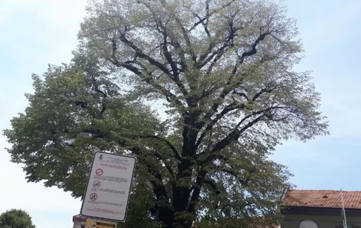 Una delle immagini trasmesse in consiglio