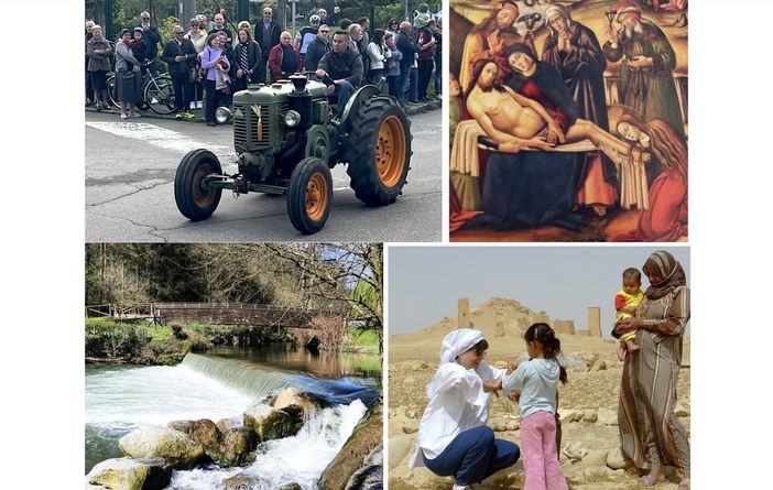 In alto a sinistra i trattori della Veroncora, sotto l'Olona primaverile e poi in senso antiorario Palmira e la Pinacoteca Ambrosiana