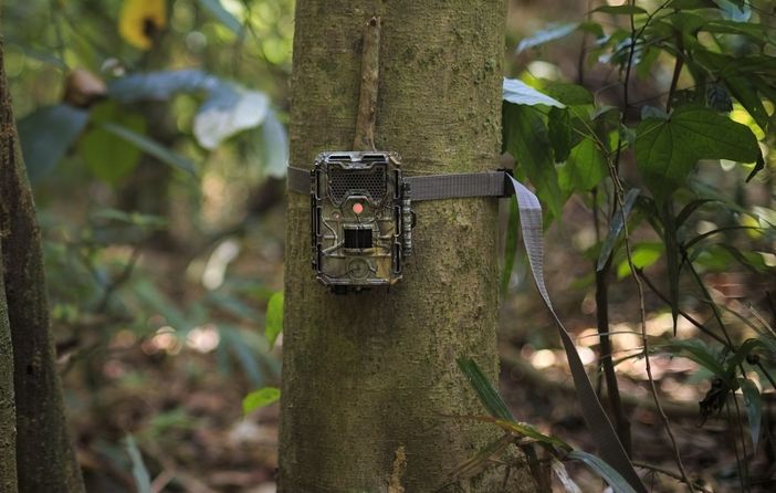 Fototrappola "mimetica" - Immagine di repertorio Fototrappola "mimetica" - Immagine di repertorio