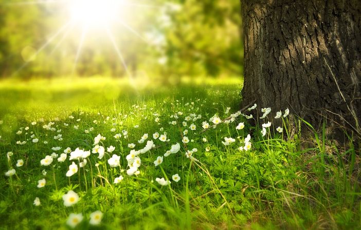 Inizia un weekend baciato dal sole e fioriscono gli appuntamenti