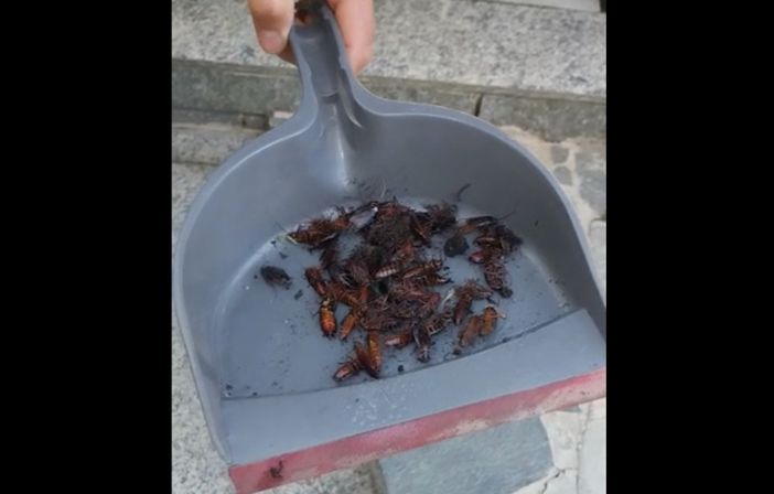 (Immagine generica di archivio)