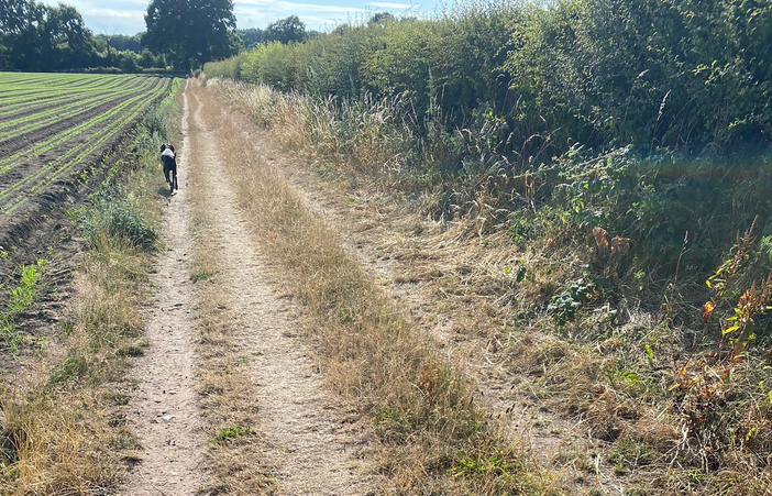 Prati inglesi, addio: «Anche qui c'è allerta caldo e vi spiego perché»
