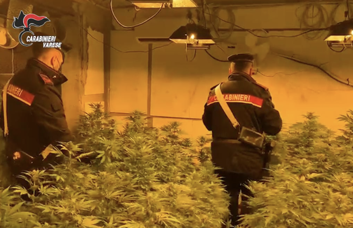 Maxi traffico di droga dalla Spagna: arresti all'alba a Varese, Gazzada e Porto Ceresio Maxi traffico di droga dalla Spagna: arresti all'alba a Varese, Gazzada e Porto Ceresio