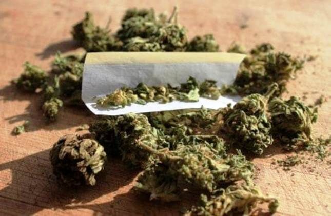 Hashish per due milioni di euro nel camion: arrestato corriere a Fagnano Olona